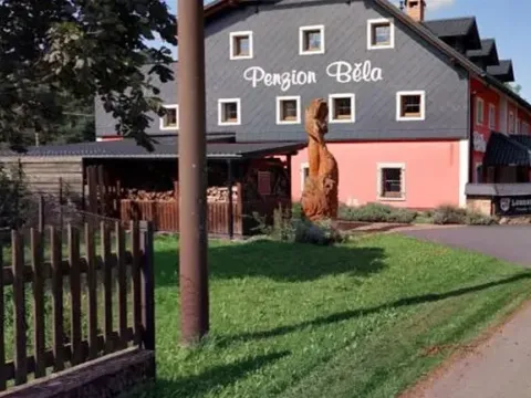 Prodej pozemku, Bělá pod Pradědem, 55 m2