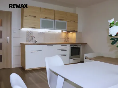 Pronájem bytu 1+kk, Plzeň, Plaská, 27 m2