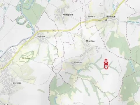 Prodej lesa, Mistřice, 1951 m2