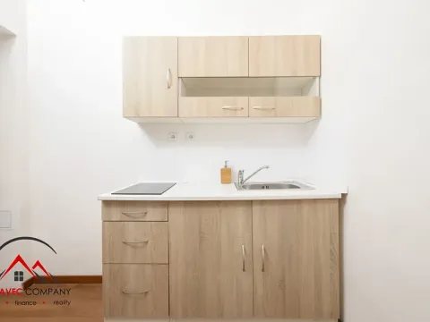 Pronájem bytu 1+1, Ostrava, Mariánskohorská, 31 m2