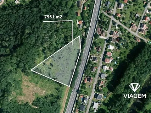 Prodej lesa, Metylovice, 7951 m2