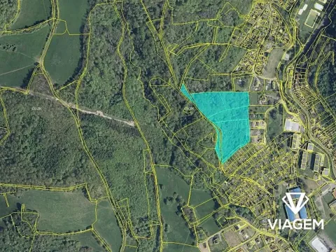 Prodej lesa, Povrly, 26984 m2