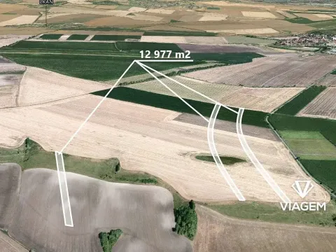 Prodej podílu pole, Křesín, 1622 m2