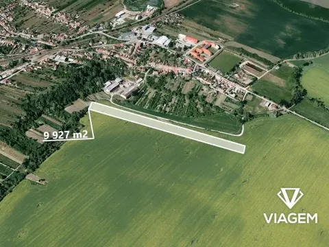 Prodej pole, Moravská Nová Ves, 10112 m2
