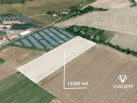 Prodej podílu pole, Znojmo, 2566 m2