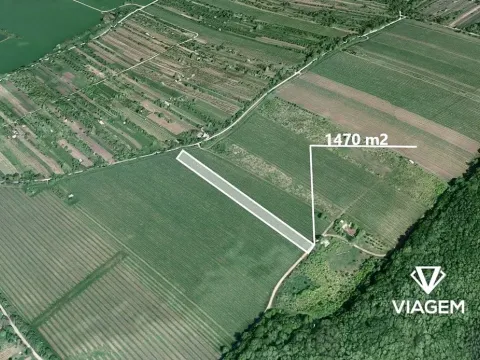 Prodej pole, Strážnice, 3361 m2