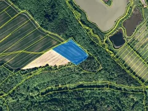 Prodej podílu pole, Bítov, 7251 m2