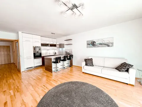 Pronájem bytu 1+kk, Praha - Žižkov, Ke kapslovně, 53 m2