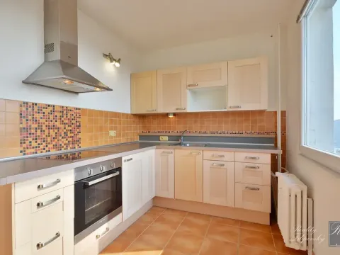 Prodej bytu 2+1, Ústí nad Labem, Pod Rozhlednou, 64 m2