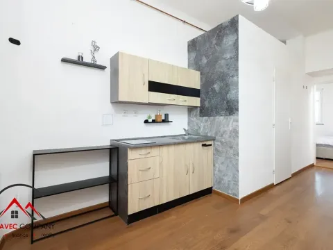 Pronájem bytu 1+1, Ostrava, Mariánskohorská, 41 m2