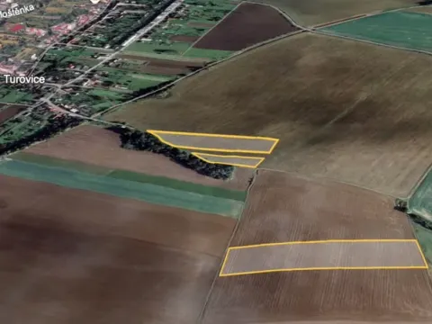 Prodej pole, Turovice, 30796 m2