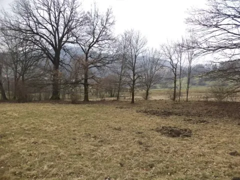 Dražba pozemku, Česká Kamenice, 5161 m2