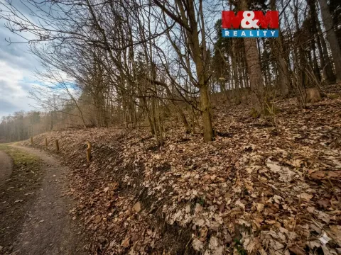 Prodej lesa, Semily, 1939 m2