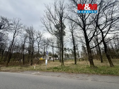 Prodej lesa, Býšť, 3807 m2