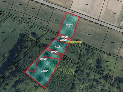 Prodej lesa, Lysá nad Labem, 8812 m2