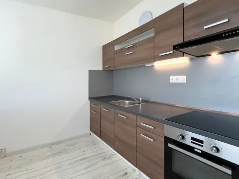 Pronájem bytu 2+1, Chomutov, Kamenný vrch, 58 m2