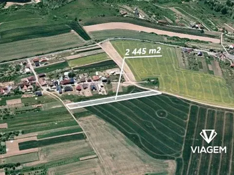 Prodej pole, Mistřice, 2445 m2