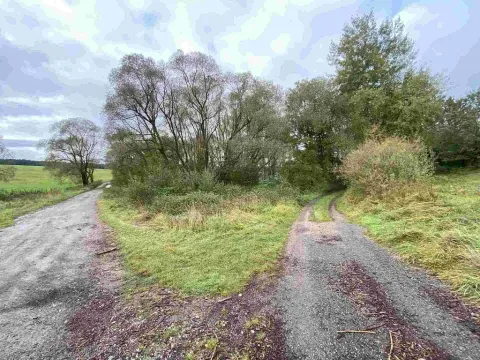 Prodej pozemku, Horní Dvořiště, 10042 m2