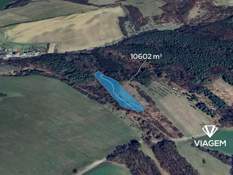 Prodej pole, Ludkovice, 10602 m2