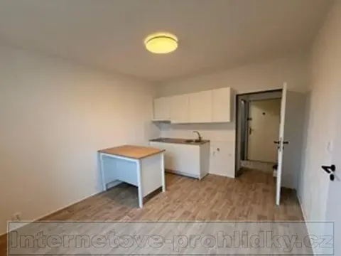 Pronájem bytu 1+1, Ústí nad Labem, Železná, 35 m2