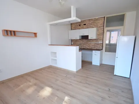 Pronájem bytu 1+kk, Frýdek-Místek, Javorová, 23 m2