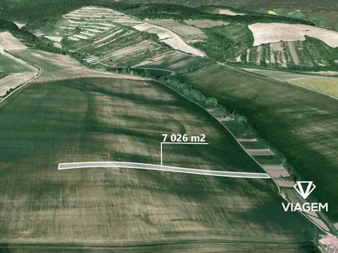 Prodej podílu pole, Archlebov, 3513 m2