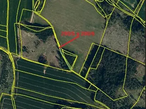 Prodej lesa, Červená Řečice, 326 m2