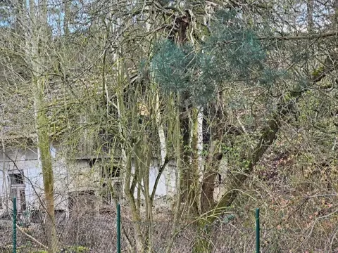 Dražba rodinného domu, Kasalice, 223 m2