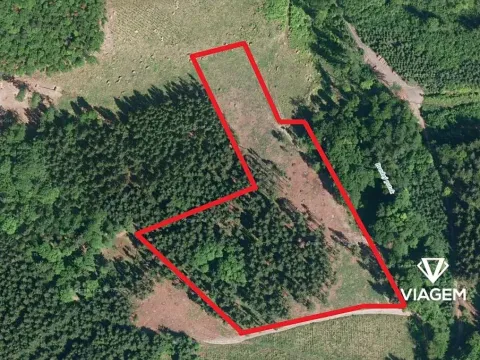 Prodej podílu lesa, Růžďka, 26713 m2