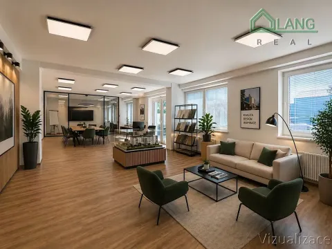 Pronájem obchodního prostoru, Brno, Mlýnská, 133 m2