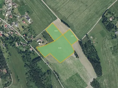 Prodej podílu louky, Jílové u Držkova, 7808 m2