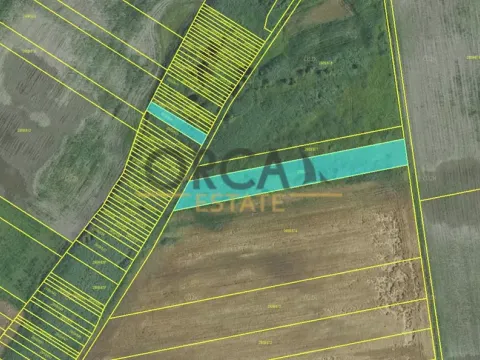 Prodej pole, Podivín, 2403 m2