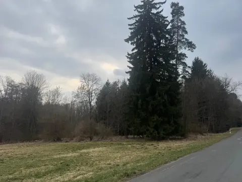 Prodej pole, Hlavňovice, 11738 m2