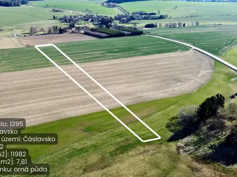 Prodej pole, Čáslavsko, 11982 m2