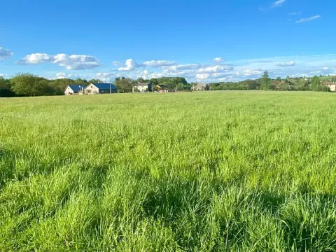 Prodej pozemku pro bydlení, Horní Bludovice, 1584 m2