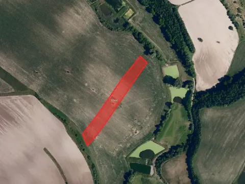 Prodej pole, Borkovany, 7843 m2