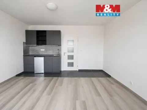 Pronájem bytu 1+kk, Praha - Vysočany, Freyova, 24 m2