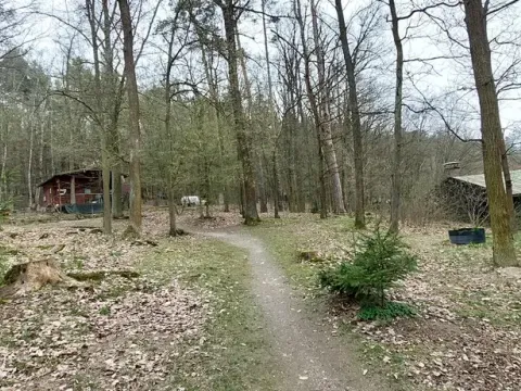 Prodej lesa, Petrov, 23078 m2