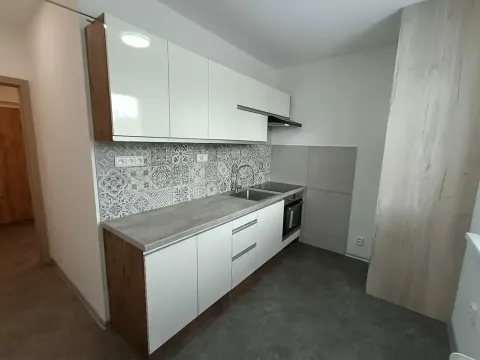 Pronájem bytu 1+1, Frýdek-Místek, Gagarinova, 36 m2