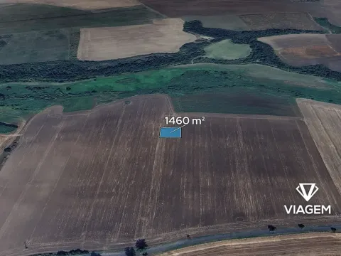 Prodej podílu pole, Staňkovice, 1216 m2