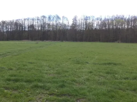 Prodej pole, Tachov, 2609 m2