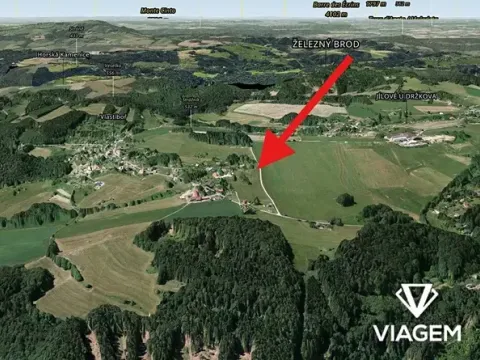 Prodej pole, Jílové u Držkova, 2976 m2