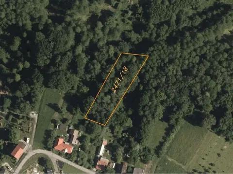 Dražba lesa, Dětmarovice, 2629 m2