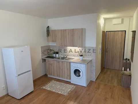 Pronájem bytu 1+1, České Budějovice, O. Nedbala, 36 m2