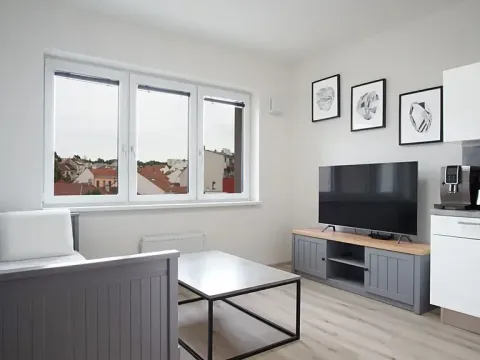 Pronájem bytu 1+kk, Brno, Gajdošova, 33 m2