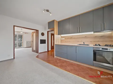 Prodej bytu 2+1, Pardubice - Zelené Předměstí, Wolkerova, 49 m2