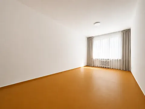 Prodej bytu 1+1, Praha - Nové Město, Petrská, 61 m2