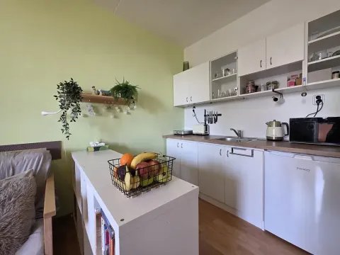 Prodej bytu 1+kk, Brno, Opálkova, 24 m2