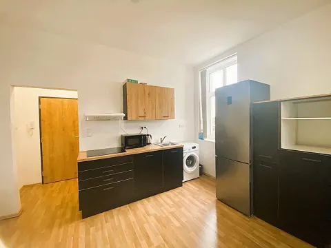 Pronájem bytu 1+kk, Čistá, 41 m2