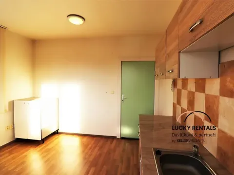 Pronájem bytu 1+kk, Průhonice, U Křížku, 20 m2